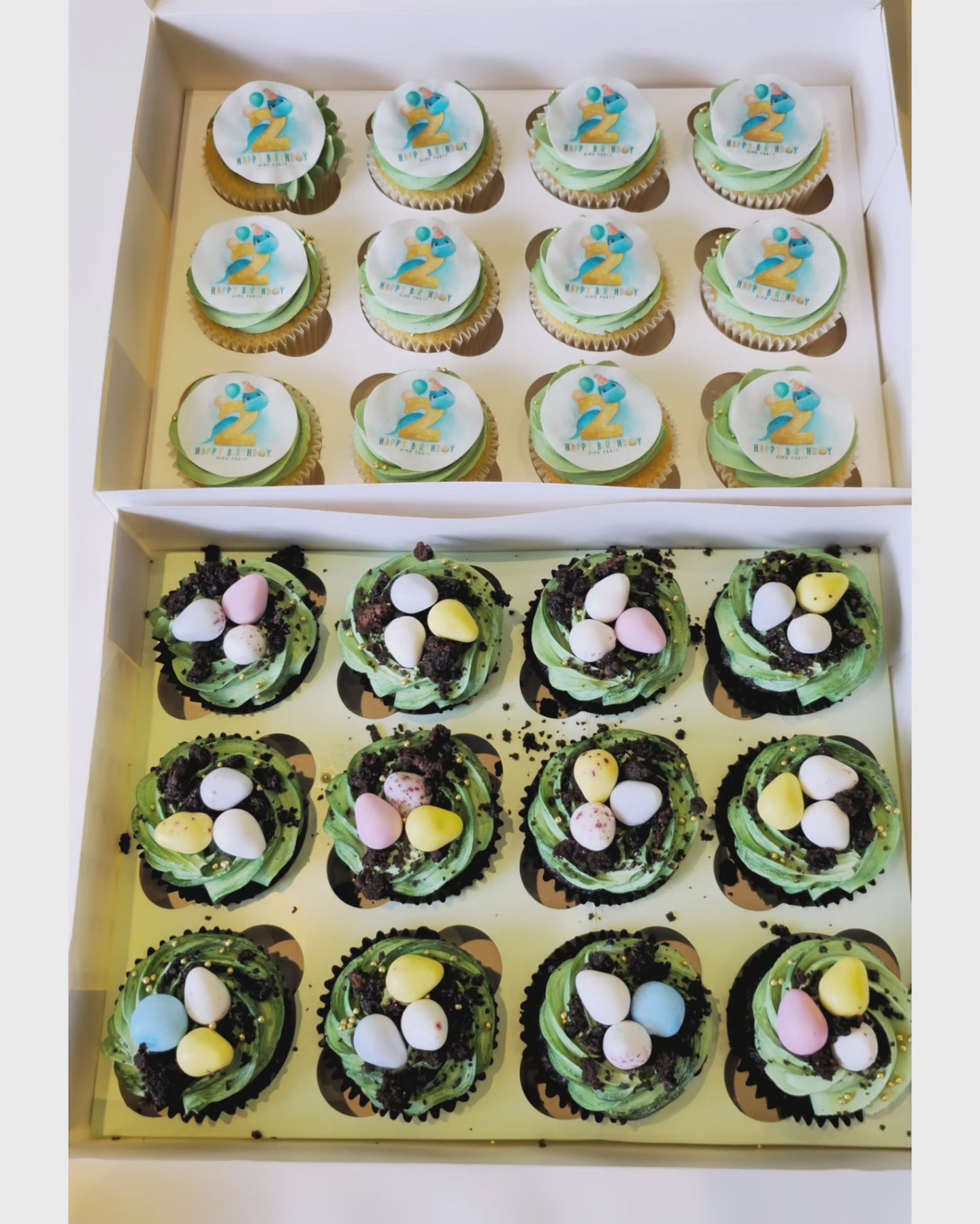 "Dino"  Party cupcakes