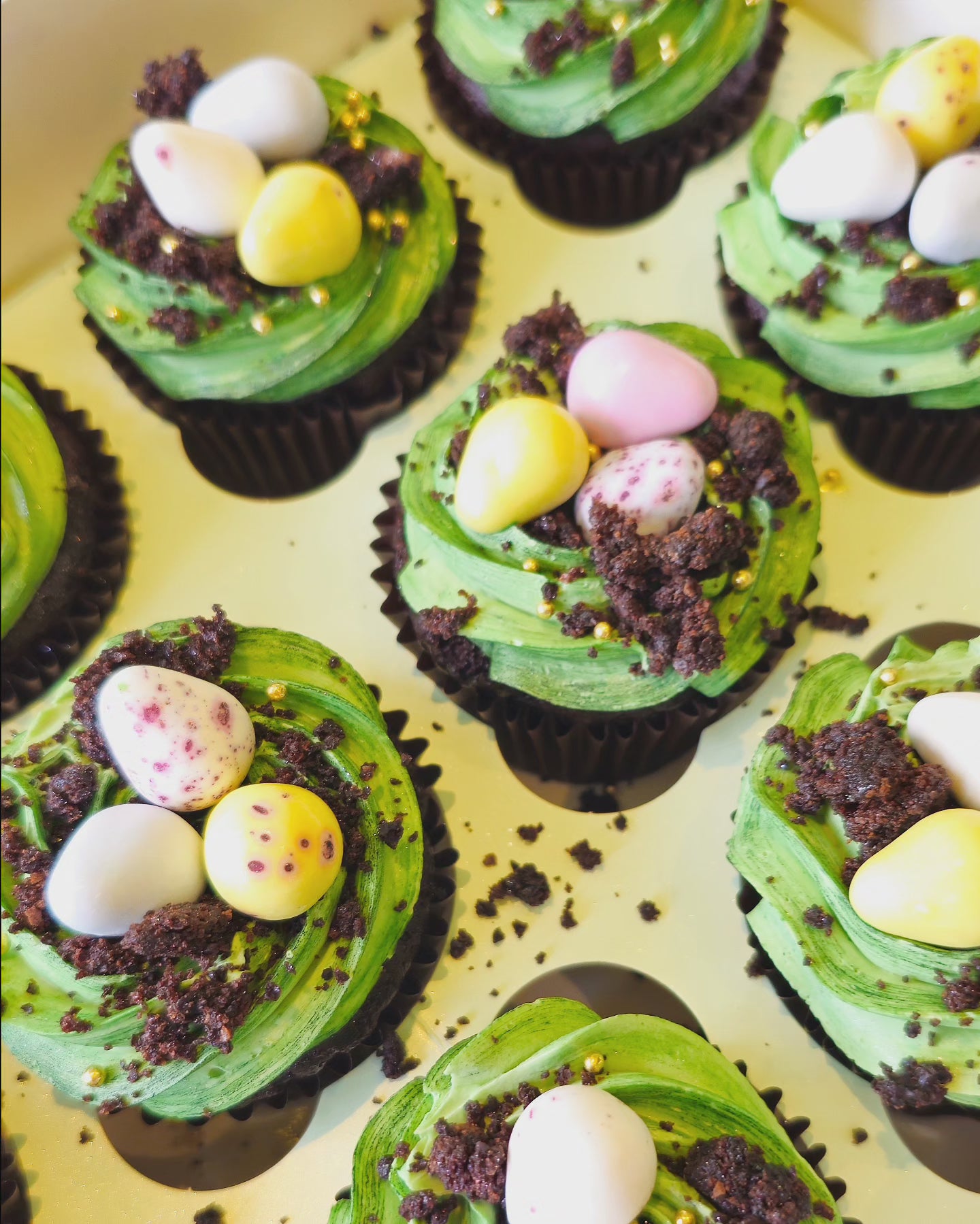 "Dino"  Party cupcakes
