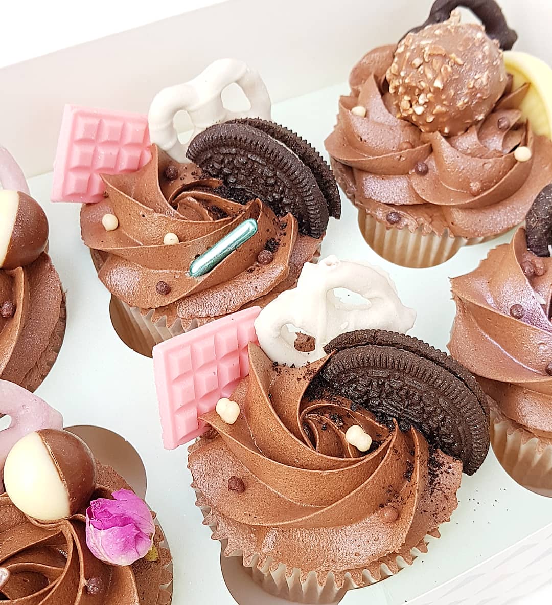 Chocolate Cupcakes